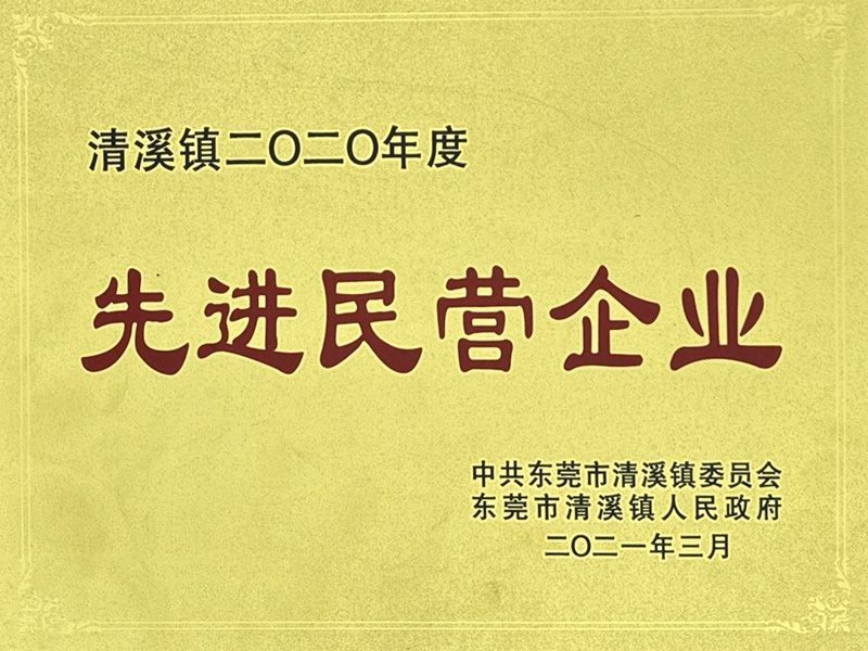 先進民間企業